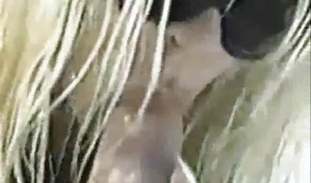 角質百合隠れから肛門時計百合 女の子 の ため の 無料 アダルト