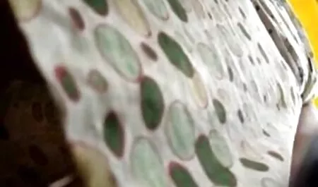 道路の上に曲がったビールの雌犬を仕上げる 女の子 向け エロ 動画 無料