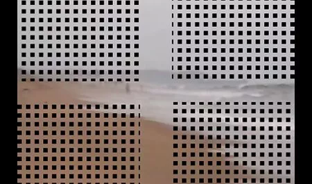 暑くて湿気があります アダルト 動画 女性 用