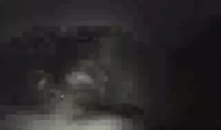 ひよこは第五の月に彼女の猫をなめるために頼む エロ 動画 女の子 用