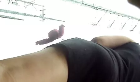 クソ女の子とバイブレータへorgasm 女の子 の ため エロ 動画