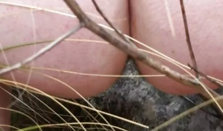 赤い髪のドレスを着てセックスを見る 女の子 専用 無料 エロ 動画